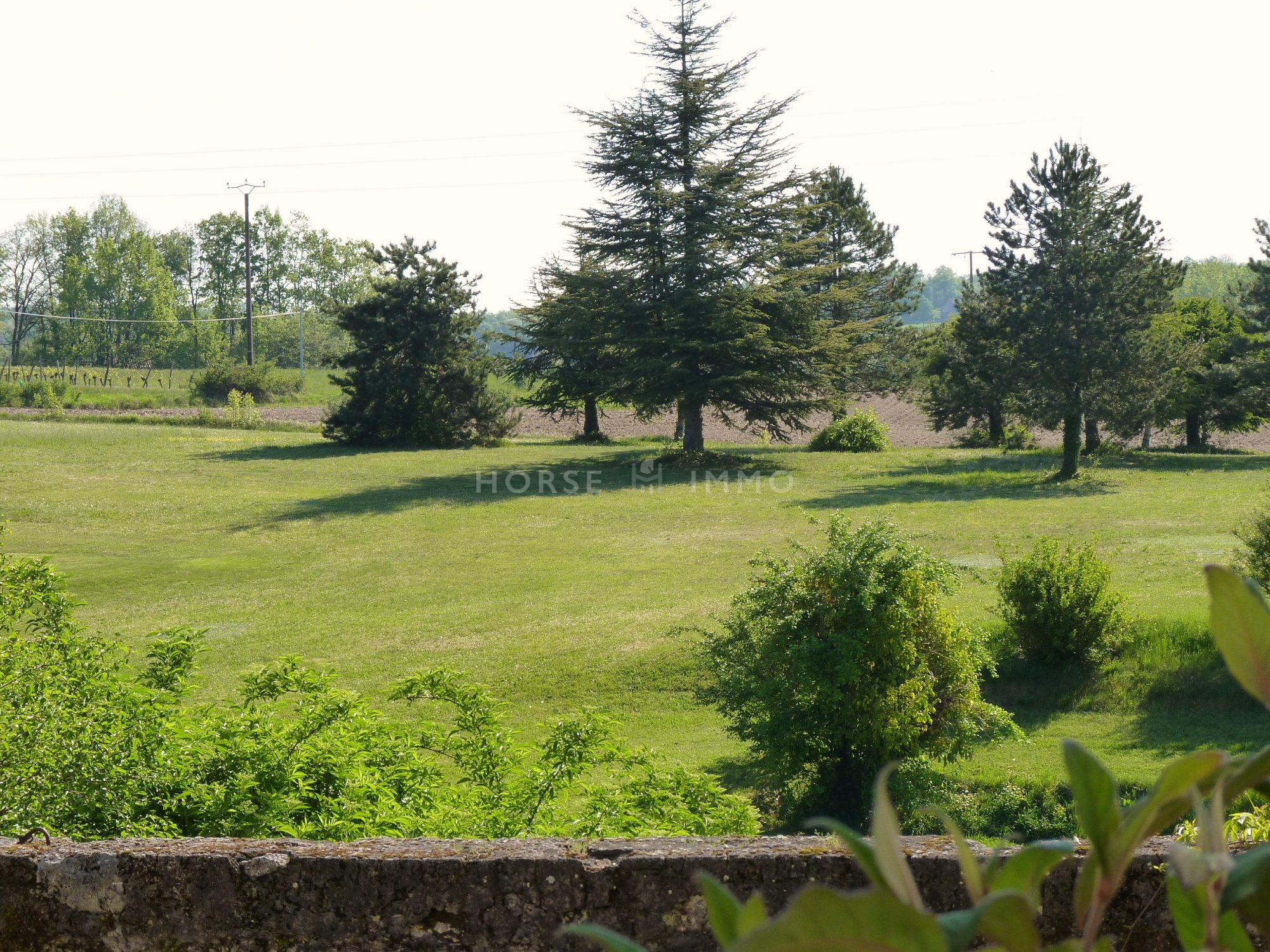 1615905997 VM1712 7 original - Château de 340m² sur 3.5ha à 15 min de Bergerac